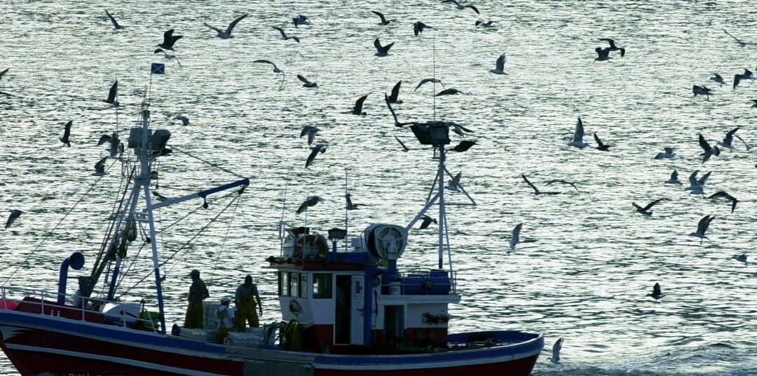 Ayudas del Fondo Europeo Marítimo y de Pesca