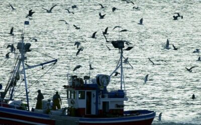 Ayudas del Fondo Europeo Marítimo y de Pesca