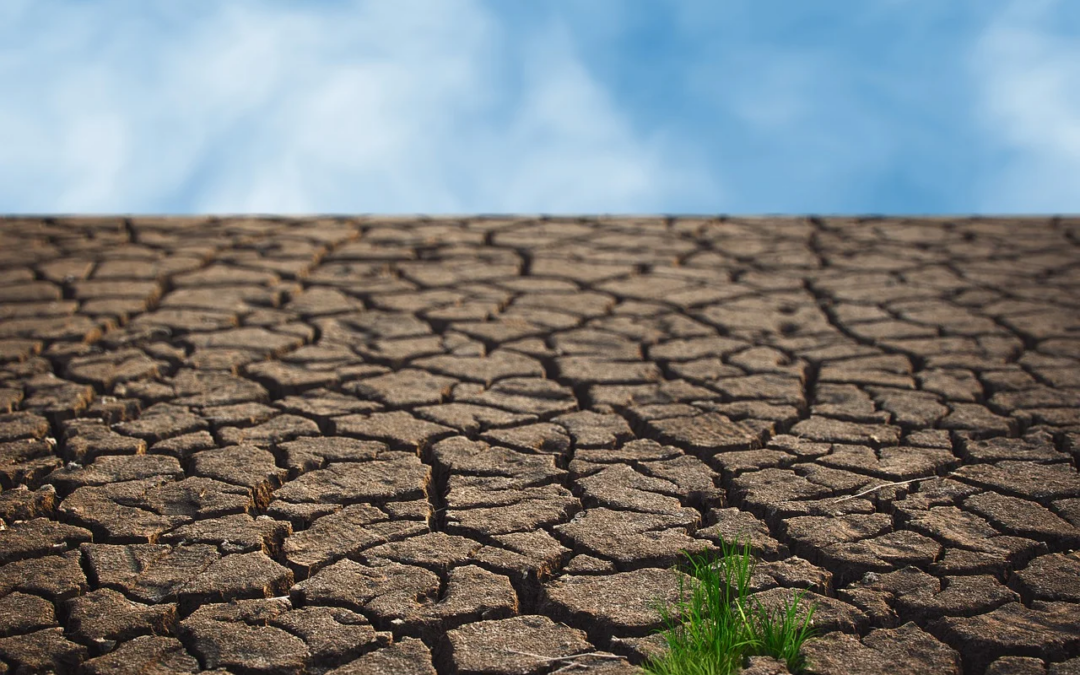 Sequía en España: Medidas de eficiencia energética en regadíos para una gestión sostenible del agua
