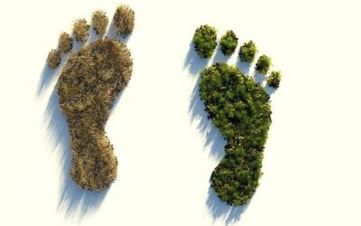 Actualización en la normativa de huella de carbono