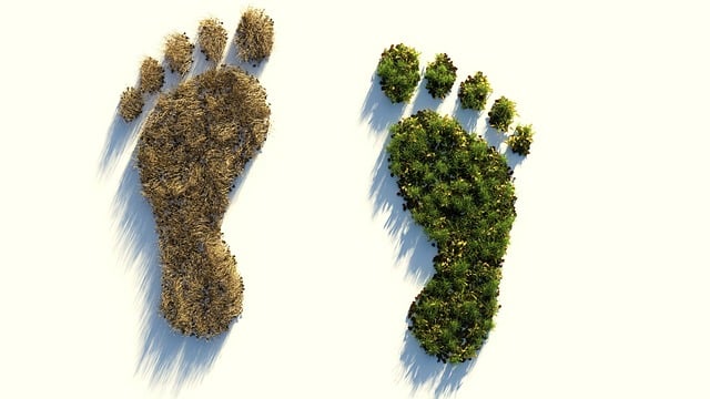 Actualización en la normativa de huella de carbono